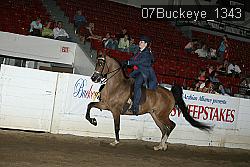 07Buckeye_1343 thumbnail