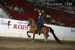 07Buckeye_1344 thumbnail