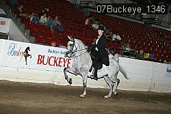 07Buckeye_1346 thumbnail