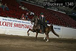 07Buckeye_1348 thumbnail