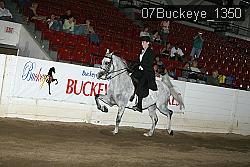 07Buckeye_1350 thumbnail