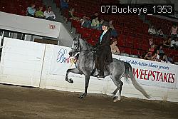 07Buckeye_1353 thumbnail