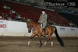 07Buckeye_1356 thumbnail