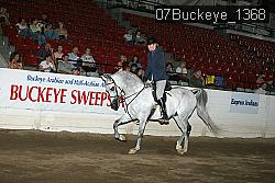 07Buckeye_1368 thumbnail