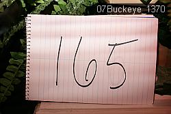 07Buckeye_1370 thumbnail