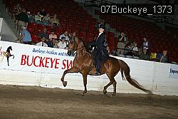 07Buckeye_1373 thumbnail