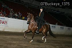 07Buckeye_1375 thumbnail