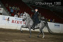 07Buckeye_1380 thumbnail