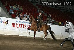 07Buckeye_1382 thumbnail