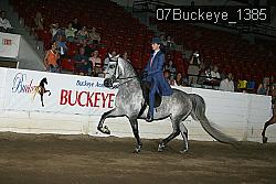 07Buckeye_1385 thumbnail