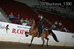 07Buckeye_1390 thumbnail