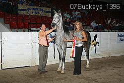 07Buckeye_1396 thumbnail