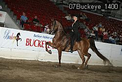 07Buckeye_1400 thumbnail