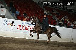 07Buckeye_1403 thumbnail