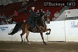 07Buckeye_1413 thumbnail