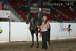 07Buckeye_1415 thumbnail