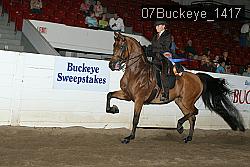 07Buckeye_1417 thumbnail