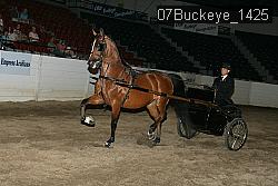 07Buckeye_1425 thumbnail