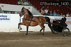 07Buckeye_1430 thumbnail