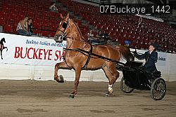 07Buckeye_1442 thumbnail