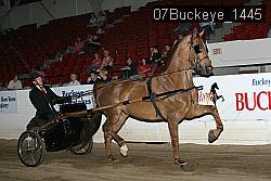 07Buckeye_1445 thumbnail