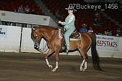 07Buckeye_1456 thumbnail