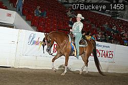 07Buckeye_1458 thumbnail
