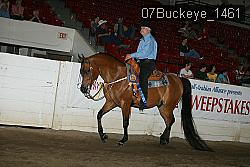 07Buckeye_1461 thumbnail