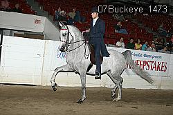 07Buckeye_1473 thumbnail