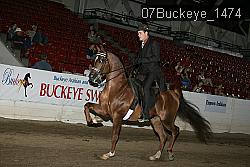 07Buckeye_1474 thumbnail