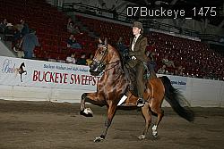 07Buckeye_1475 thumbnail