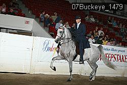 07Buckeye_1479 thumbnail