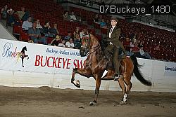 07Buckeye_1480 thumbnail