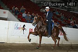 07Buckeye_1481 thumbnail