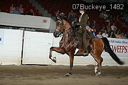 07Buckeye_1482 thumbnail