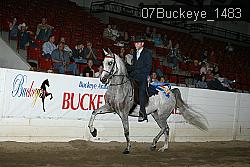 07Buckeye_1483 thumbnail