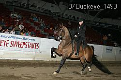 07Buckeye_1490 thumbnail