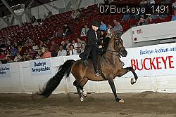 07Buckeye_1491 thumbnail