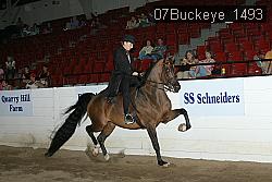 07Buckeye_1493 thumbnail