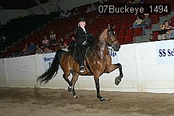 07Buckeye_1494 thumbnail