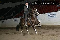 07Buckeye_1495 thumbnail