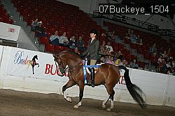 07Buckeye_1504 thumbnail