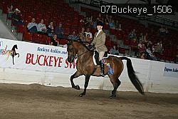 07Buckeye_1506 thumbnail