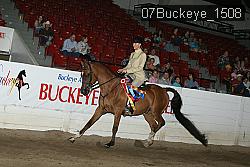 07Buckeye_1508 thumbnail