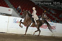 07Buckeye_1515 thumbnail