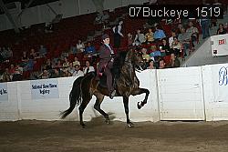 07Buckeye_1519 thumbnail