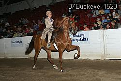 07Buckeye_1520 thumbnail