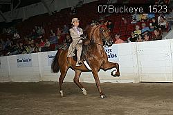 07Buckeye_1523 thumbnail