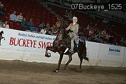 07Buckeye_1525 thumbnail