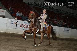 07Buckeye_1527 thumbnail